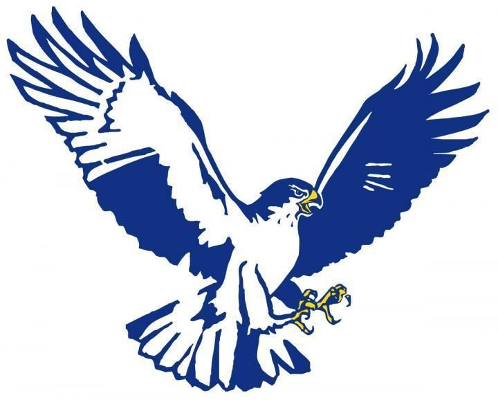 Hawk