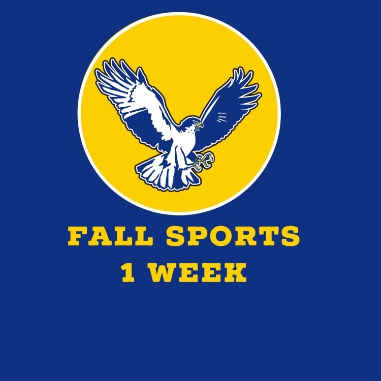fall