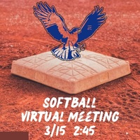 High School softball virtual informational meeting