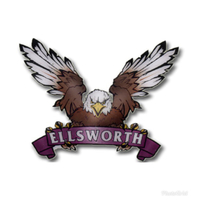 Girls Soccer will face #9 Ellsworth in the Quarterfinals.